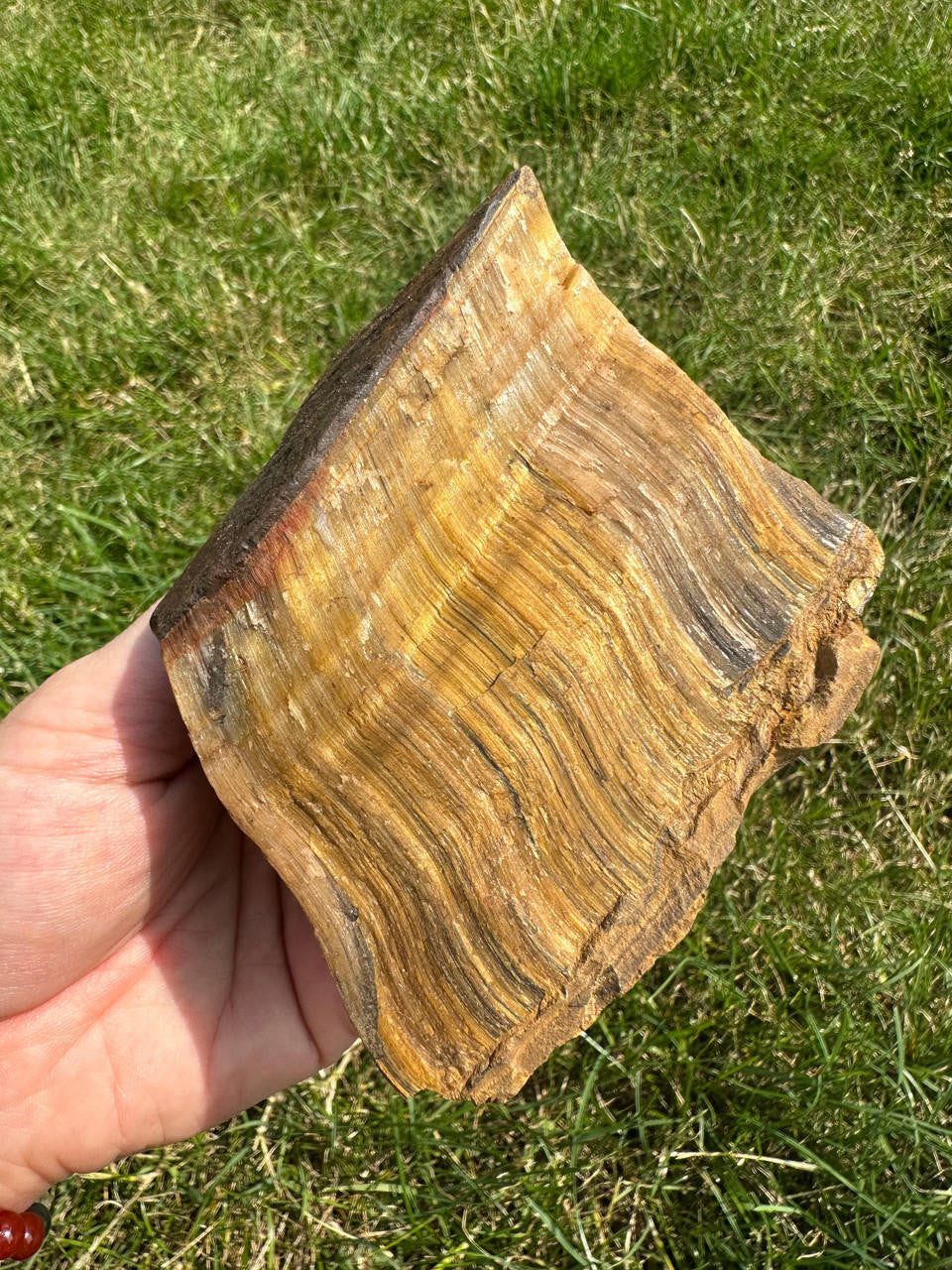 Raw Tigers Eye Stone (Large)
