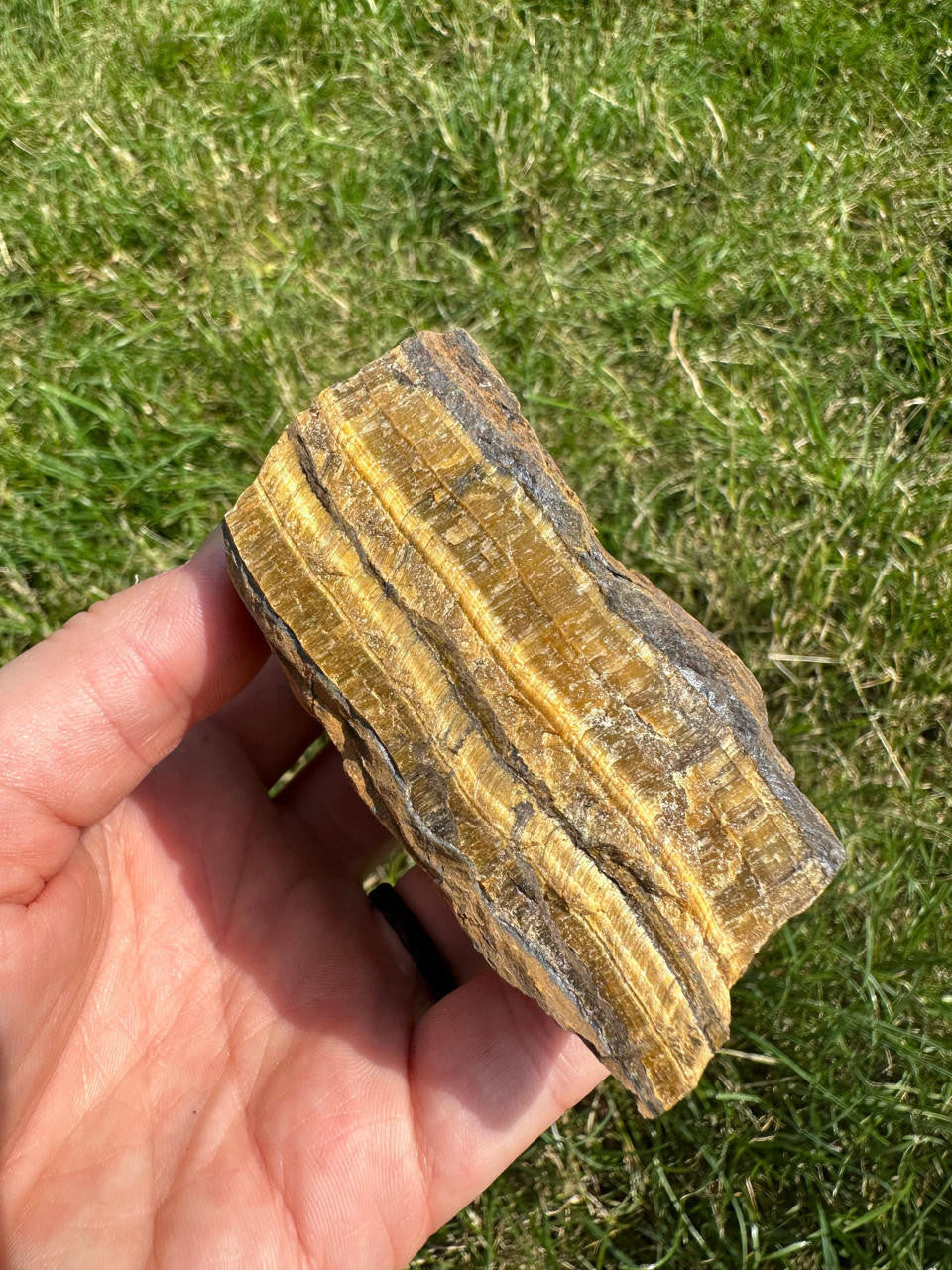 Raw Tigers Eye Stone (Large)
