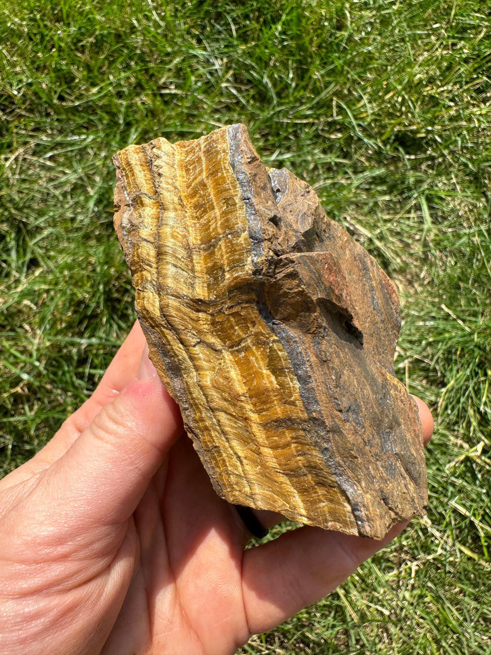 Raw Tigers Eye Stone (Large)