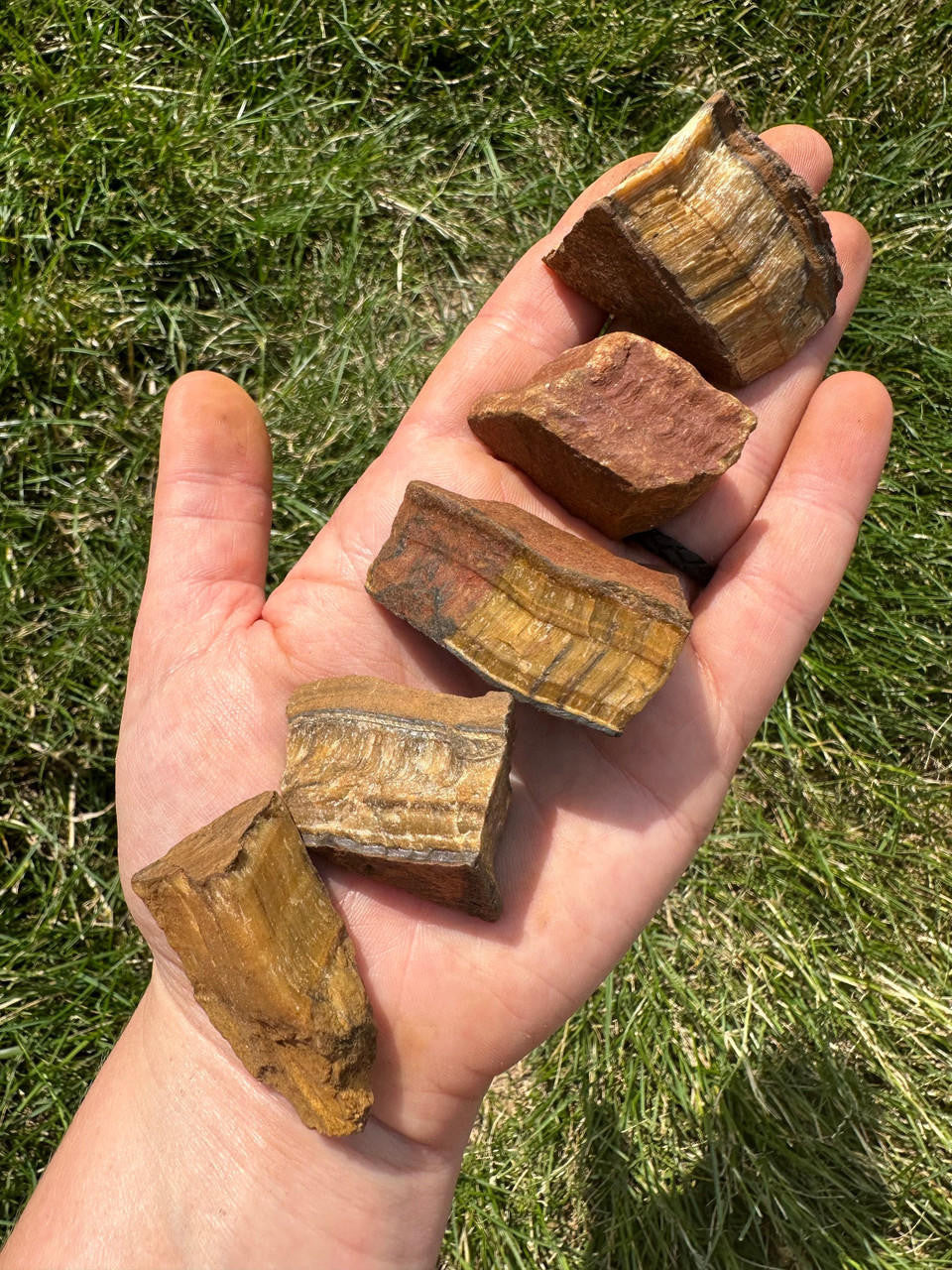 Raw Tigers Eye Stone (Large)