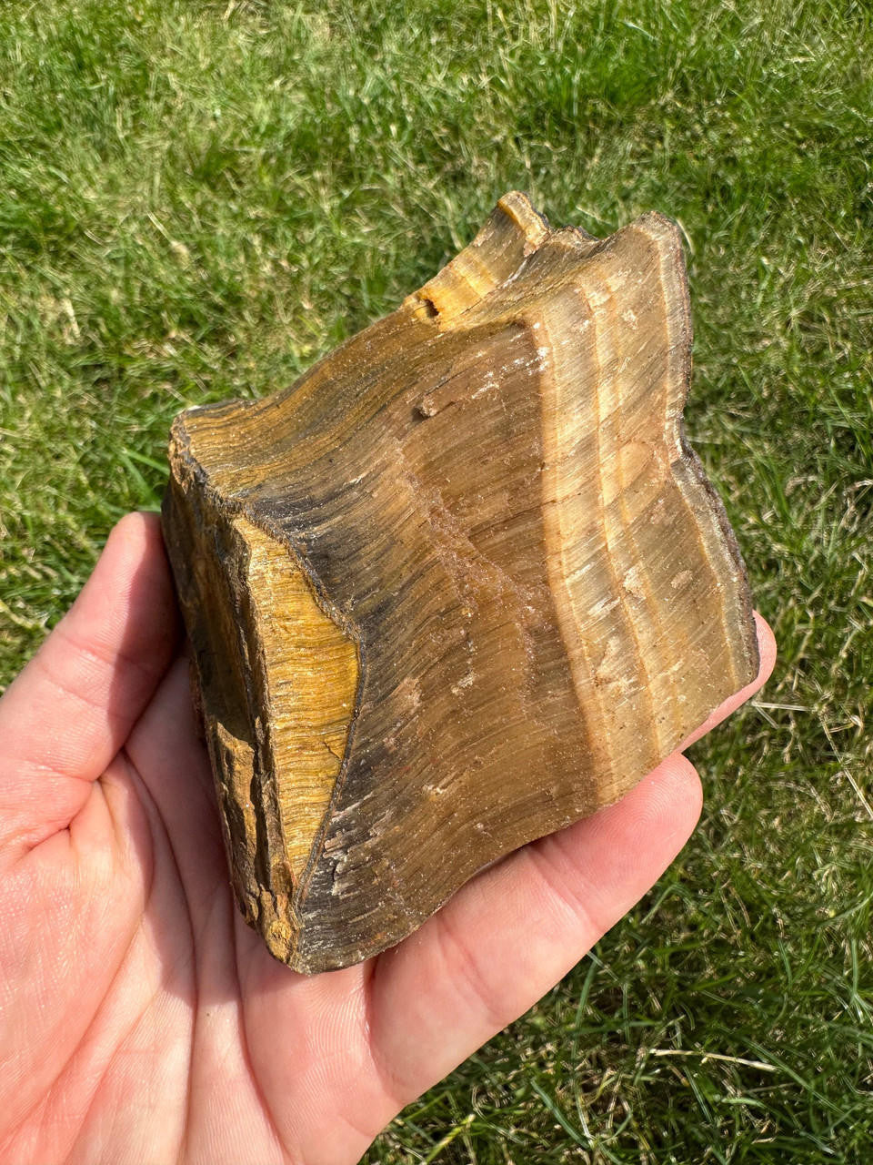 Raw Tigers Eye Stone (Large)
