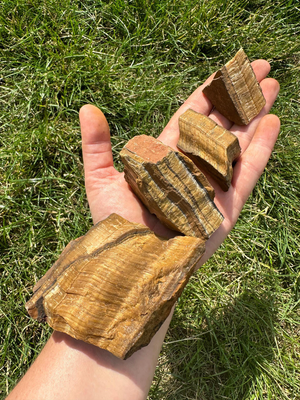 Raw Tigers Eye Stone (Large)