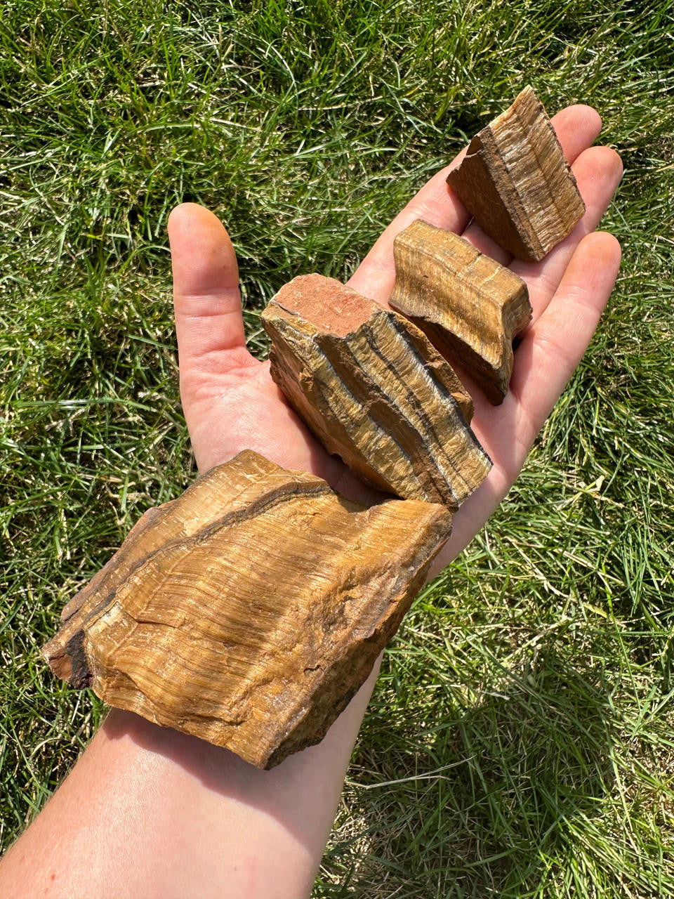 Raw Tigers Eye Stone (Large)